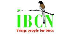 IBCN