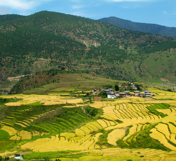 Jomolharilaya Gasa Trek