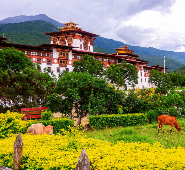 Samtengang Winter Trek