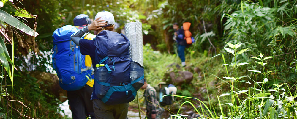 Trekking & Expeditions