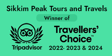 TripAdvisor